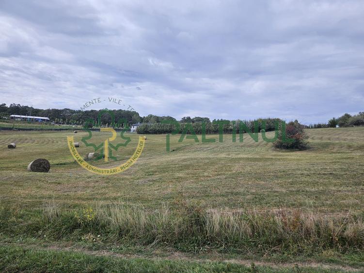 Teren de vanzare ,Tocile, Sibiu, case de vacanta si locuinte
