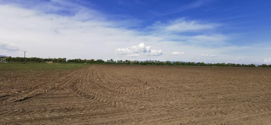 TEREN AGRICOL DE VANZARE - BOD - BRASOV 4,5 HA - 5