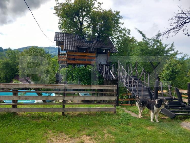 Proprietate cu piscină/ciubăr, zona Pietrari - 3