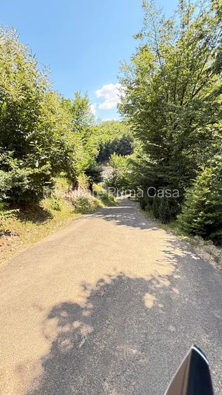 Valea Rosie, teren intravilan 3434mp, langa padure. - 9