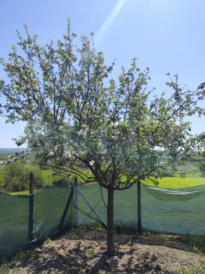 Casa 3 camere, 86 mp, 678 mp teren, Mogosesti-Iasi - 5