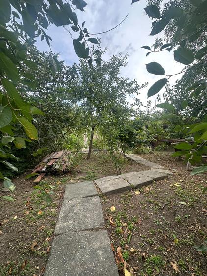 EXCLUSIVITATE! Casa P+1 - 6 camere - Palazu Mare - 260.000 euro (Cod E8+E10)