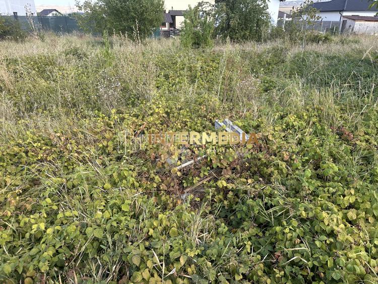TEREN INTRAVILAN 480 MP I APA, GAZ, CURENT I DESCHIDERE LA STRADA 25 ML - 3