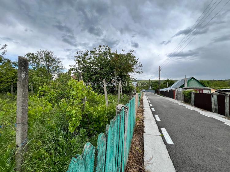 Casă + teren 4430 mp, vie și pomi fructiferi, 22 km de Tecuci - 29