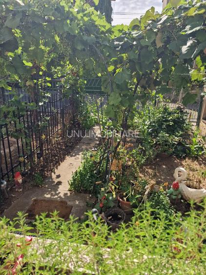 Apartament 1 camera-Gradina privata-Parcul Copou - 6