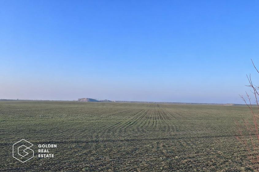 Teren agricol 32.000 mp, deschidere sosea Arad–Siria