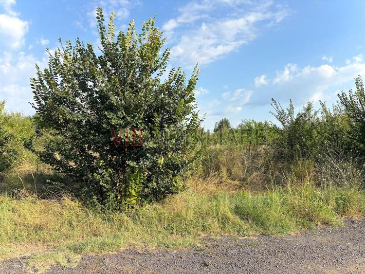 Baneasa - Drumul Agatului, teren intravilan, suprafata 1.400 mp