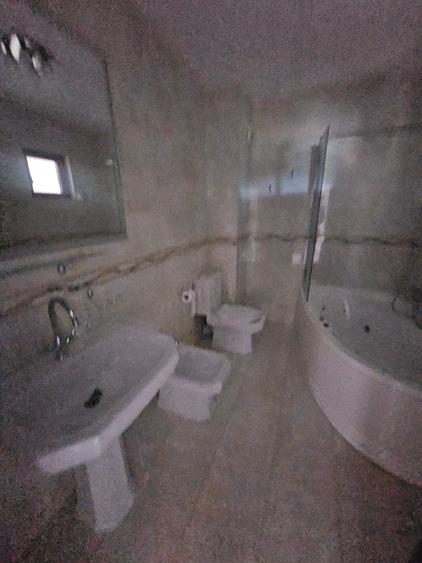 Vila zona Valea Lupului - Pt locuit sediu firma