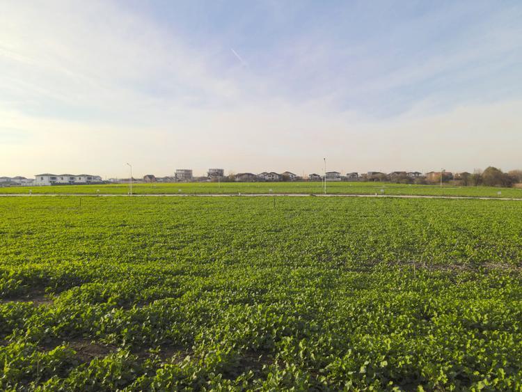 Lot 608mp In Rate Com Berceni | utilitati: curent gaz asfalt | #SG1