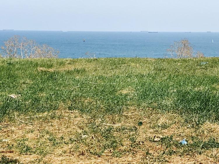 Vedere frontala la mare, deschidere 40m ,str Eminescu 28,Casa Casatoriilor