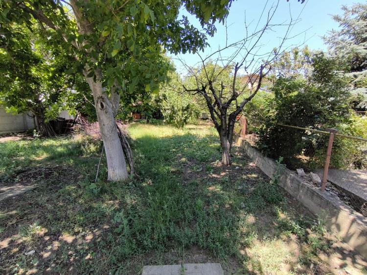 CUMPANA  (Cod 01) - Teren intravilan la soseua Constantei.