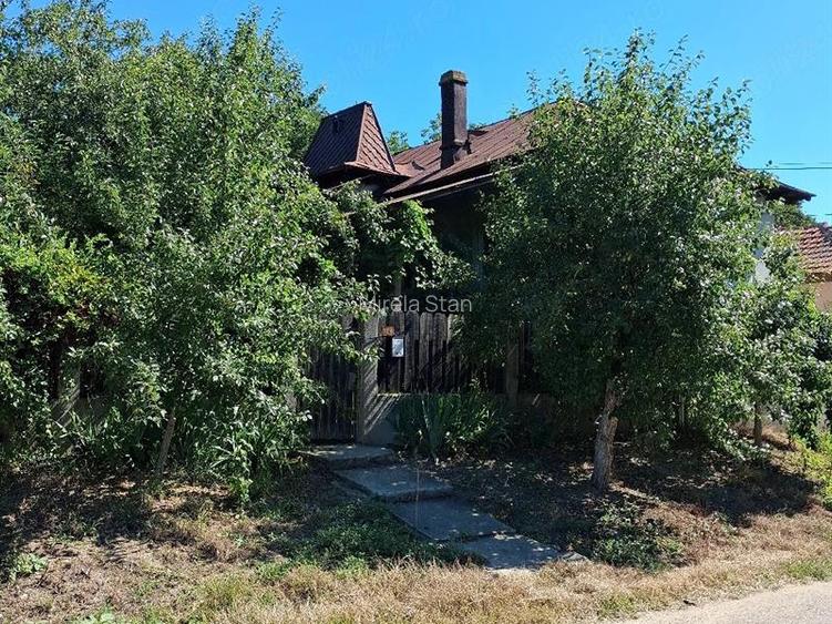 Vand Casa in Sat Ciutura, judet Dolj - 3