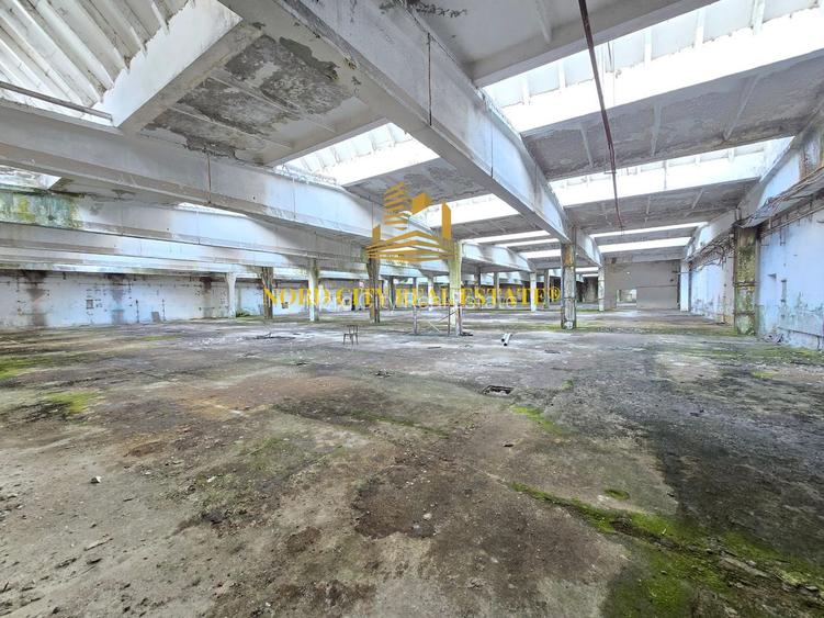 Platforma Industriala-8 ha -Fabrica-Hale Productie-21.500 mp - 13