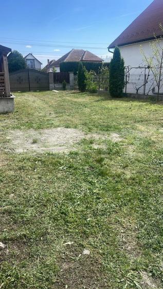 De vânzare , casa cu teren intravilan 3000mp , zona Ciuperceni
