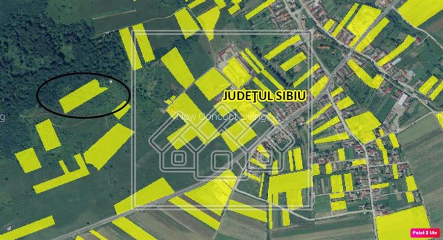 Teren intravilan cu priveliste deosebita - pretabil investitie - Bradu - 9