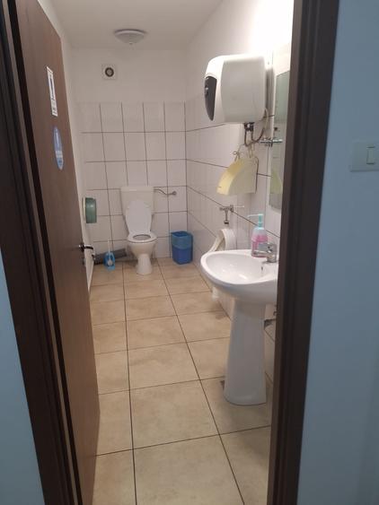 Lipovei birou 20 mp 230 euro