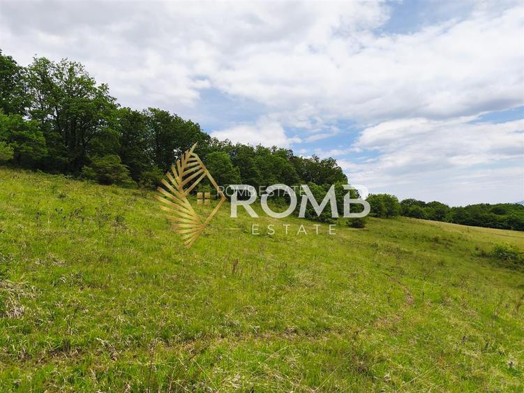 Teren vanzare Centura Donath Nord, 2900 mp - 7