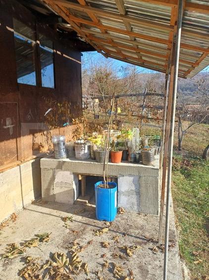 Casa + 20 arii  teren, distanta  30 km de Bistrita - 6
