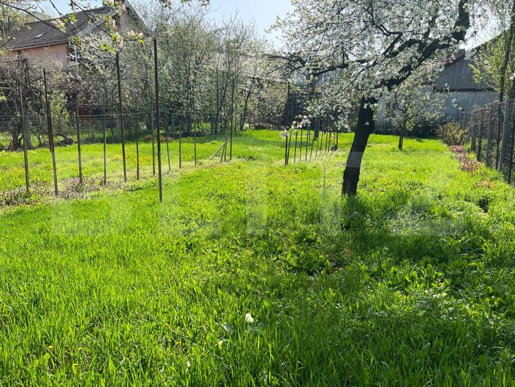 Casă vanzare cu 3 camere in zona Dambu, 877 mp, zona semicentrala