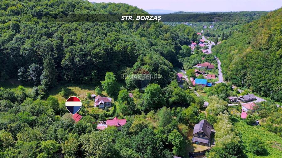 Sub padure, casa si teren de vanzare in Baia Mare - 22