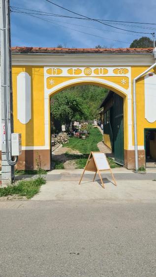 Casă săsească autentică de închiriat Richis