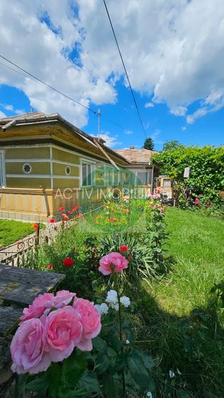 Casa de vanzare su teren de 2.000 mp, Roman Neamt - 3