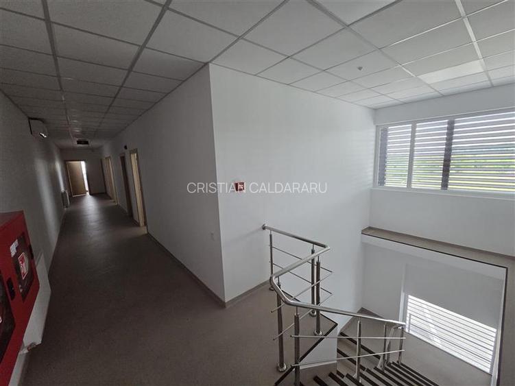 Inchiriere depozit frigorific congelare/hala/spatiu industrial Otopeni - Centura - 35