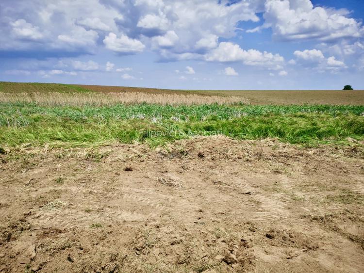Teren Butimanu cu deschidere la lac - 2