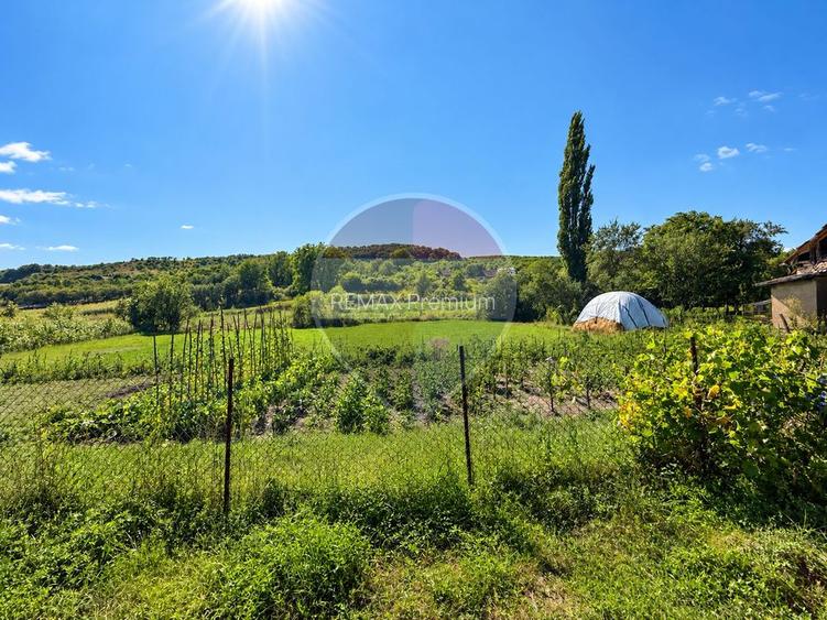 Teren intravilan 1454mp | Bădești, Cluj | Oportunitate de Investiție - 5