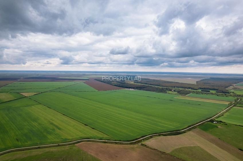 Teren extravilan în Sânnicolau Mare 14.6 ha - 2