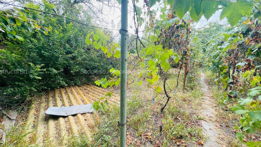 Casa spatioasa cu teren 739 mp in zona Mehala