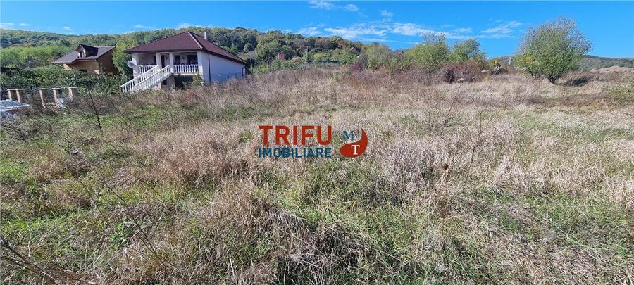 Teren intravilan 1400 mp de vanzare Alba-Micesti