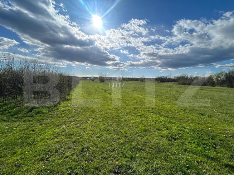 TEREN | RANCACIOV | 2000 MP | 700 INTRAVILAN | - 2