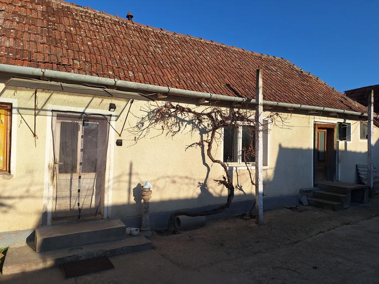 Casa cu teren 5000mp în Sacadat