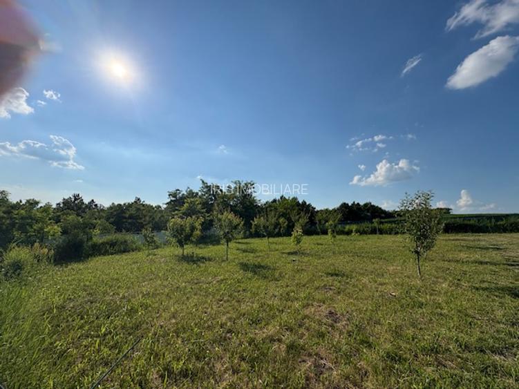 Teren intravilan, 695mp, 28m deschidere,drept, Valea Lupului! - 3