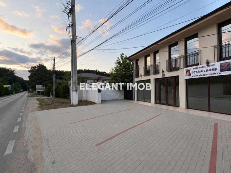 Inchirieri Spatii Comerciale Corbeanca