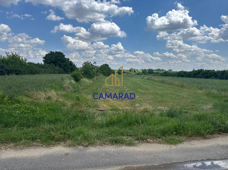 Teren 4694 mp Buftea | Potențial de extindere | intravilan - Parcul dintre Flori