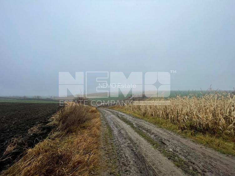 TEREN EXTRAVILAN | DOUA PARCELE 2.84 HA| DARMANESTI - 13