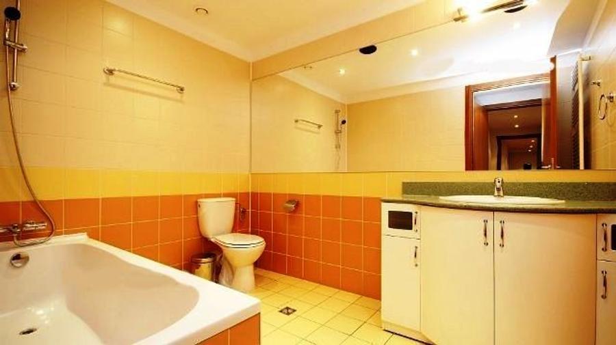 Apartament nemobilat Herastrau