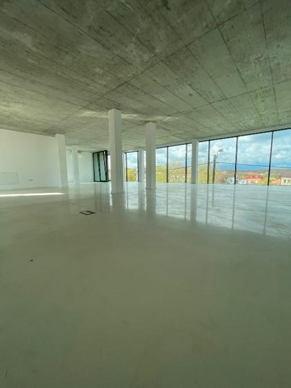 Spații birouri în clădire nouă, vedere spre Bega, 2 etaje disponibile
