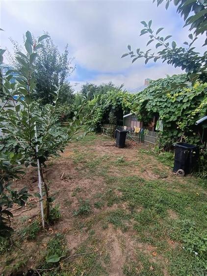 Casa Brailita-Vidin, 4 camere, Teren 573 mp