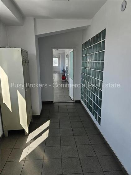 Exclusivitate - Proprietate Industriala De Vanzare - Productie - Depozitare - 23