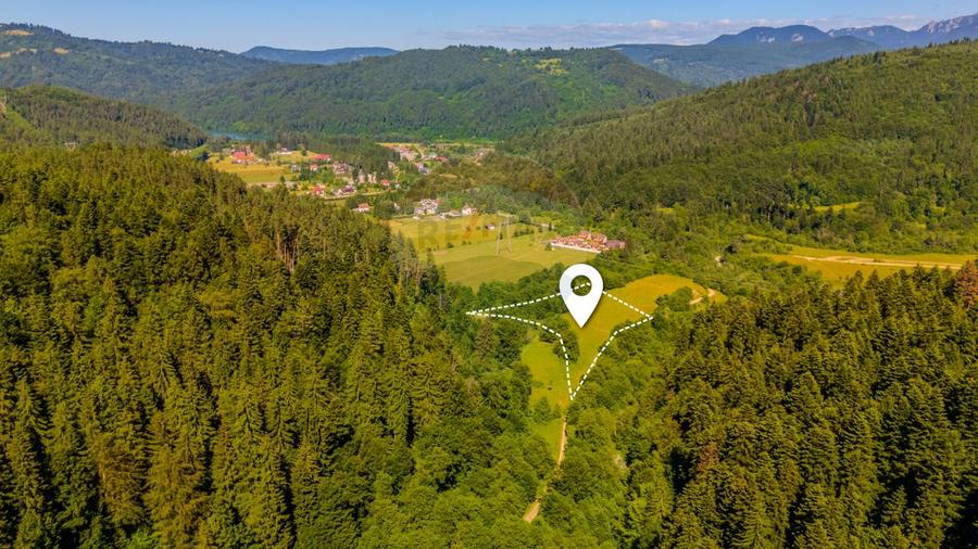 Teren 7300mp Sacele -zona Brădet/ Intravilan/ COMISION 0%