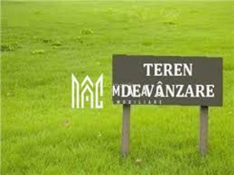 Teren extravilan 18.000 mp | Exterior Vest, Ocna Sibiului - 2