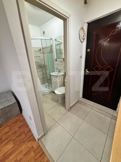 Apartament cu o camera, 22 mp, zona Lipovei - 6