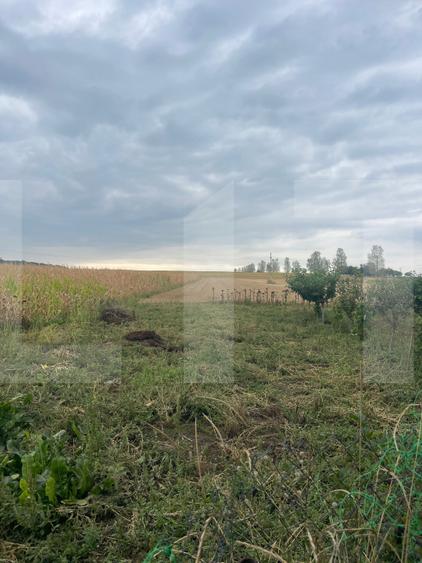 Casă de vânzare, teren 5400 mp, zona Brăești