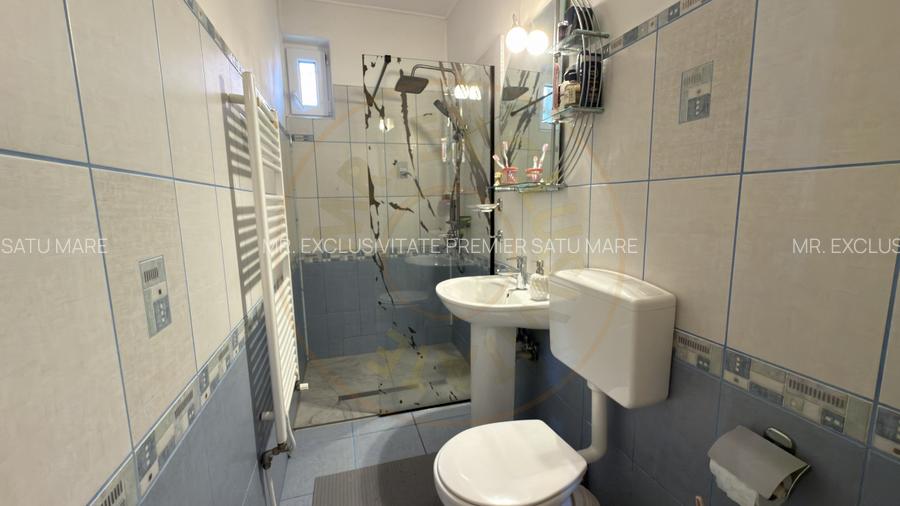 Casa Visurilor /4 camere-163 mp / Teren-1036 mp / B-dul 25 Octombrie - Carei - 10