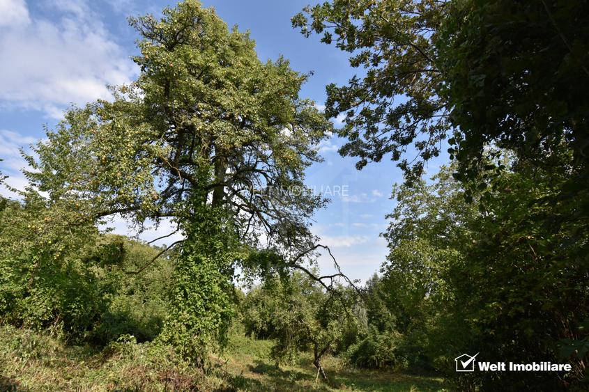 Casa demolabila in sat Gheorghieni (com Feleacu) teren 1547mp intravilan