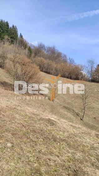 Teren 5000 mp, ideal cabana, pensiune,  in zona de interes  turistic  Rucar-Bran - 3