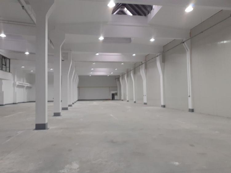 Hala de 700 mp zona Progresul